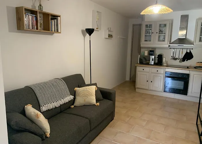 Equipe De 27m2, A 100m De La Mer, Et 500m Des Commerces 阿尔加约拉